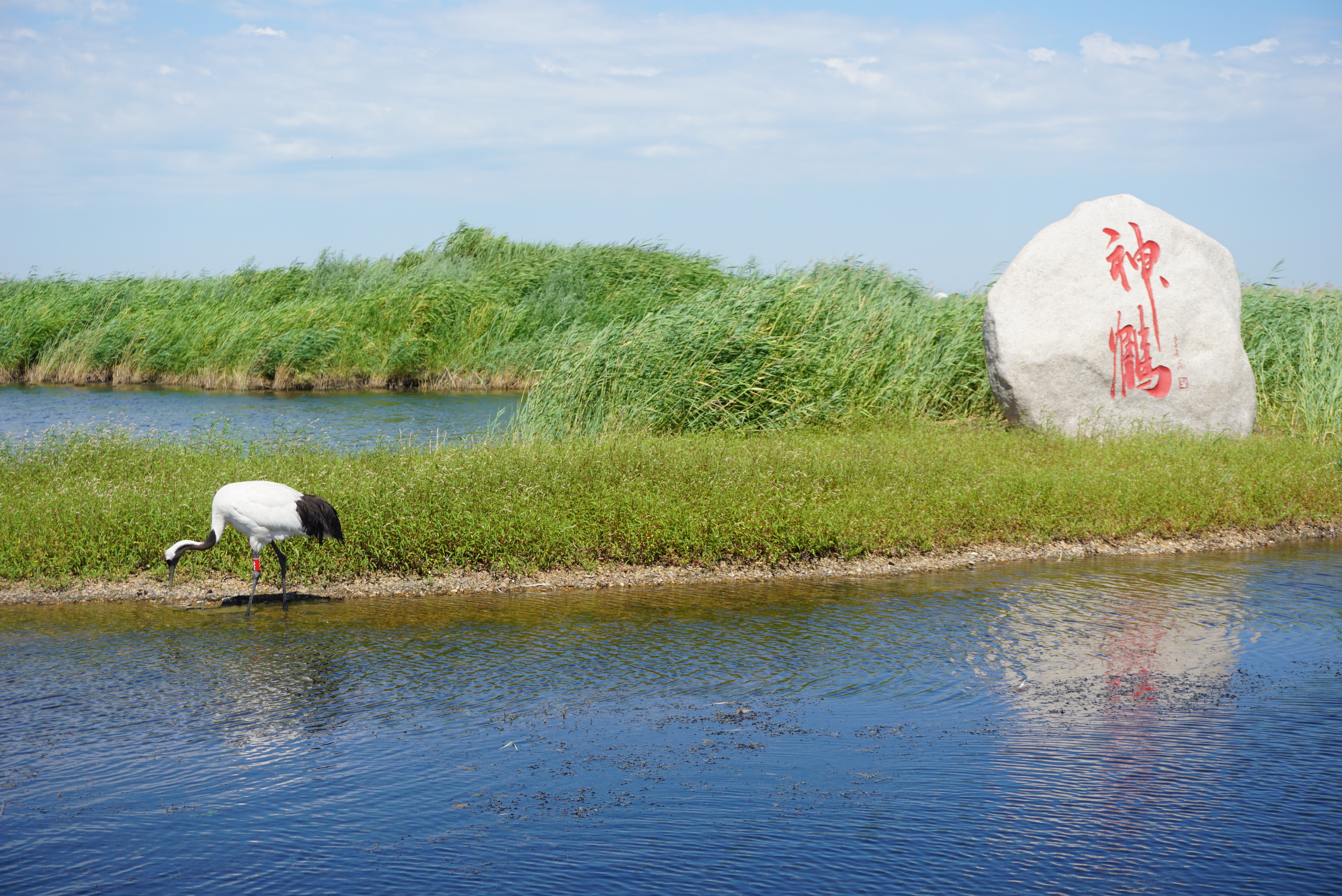运城,致敬领导与市民,共筑美好家园